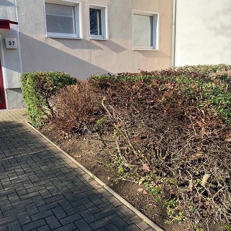 Mycha Ferienwohnung Goslar Ngoại thất bức ảnh